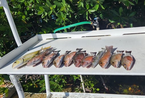 Fishing in Islamorada, Florida