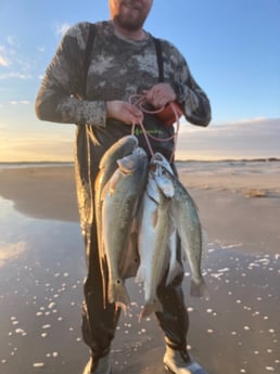 Redfish, Speckled Trout / Spotted Seatrout fishing in Rockport, Texas