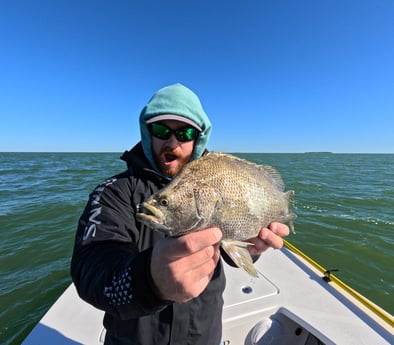 Fishing in Islamorada, Florida