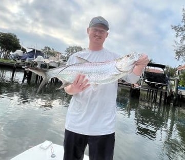 Tarpon Fishing in Sarasota, Florida