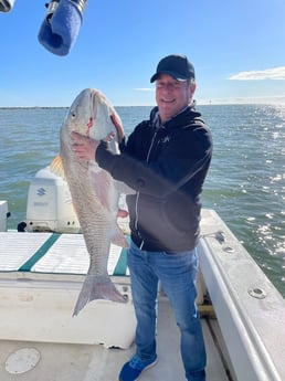 Black Drum fishing in Galveston, Texas