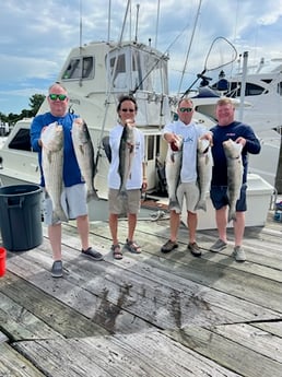 Fishing in Montauk, New York