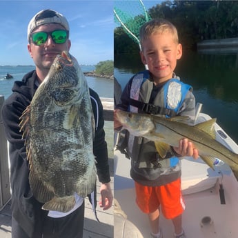 Snook, Tripletail fishing in Sarasota, Florida