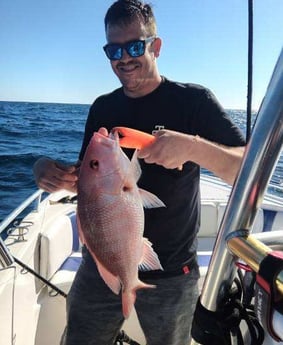 Red Snapper Fishing in Clearwater, Florida