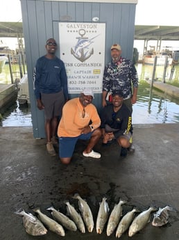 Speckled Trout / Spotted Seatrout fishing in Galveston, Texas