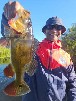 Fishing in Fort Lauderdale, Florida