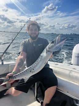 Barracuda Fishing in Fort Lauderdale, Florida