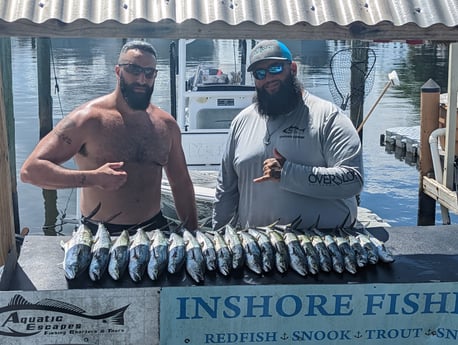 Spanish Mackerel fishing in Tampa, Florida