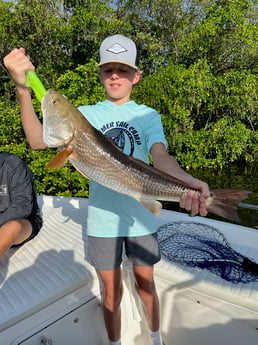 Redfish Fishing in Tarpon Springs, Florida