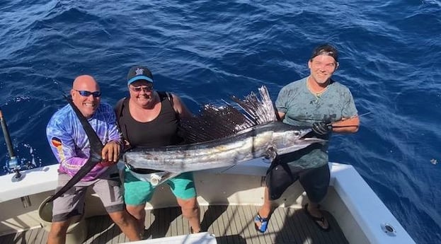 Sailfish Fishing in Pompano Beach, Florida