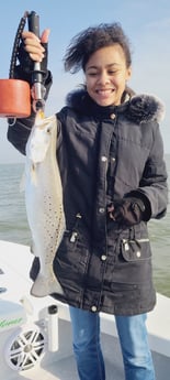 Speckled Trout / Spotted Seatrout fishing in Corpus Christi, Texas