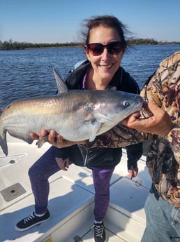 Blue Catfish fishing in Sulphur, Louisiana