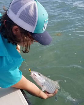 Bonefish fishing in Islamorada, Florida