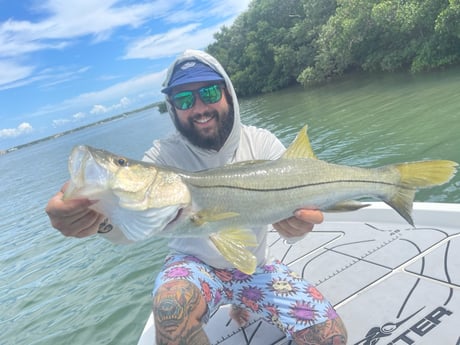 Snook fishing in Clearwater, Fl