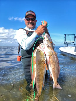 Redfish Fishing in Rio Hondo, Texas