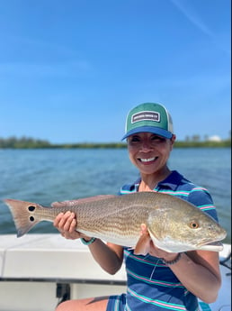 Redfish Fishing in Sarasota, Florida