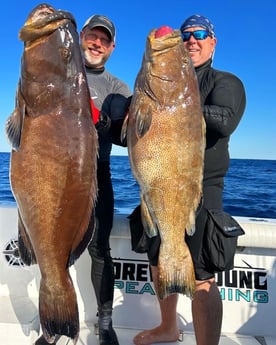 Black Grouper Fishing in Islamorada, Florida