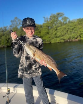 Redfish Fishing in Sarasota, Florida