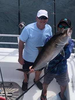 Amberjack fishing in Orange Beach, Alabama