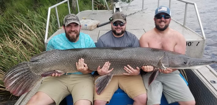 Alligator Gar fishing in Livingston, Texas