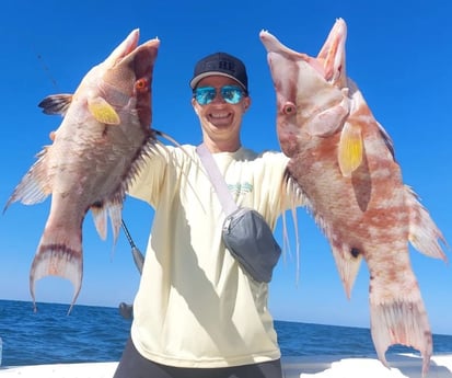 Hogfish Fishing in St. Petersburg, Florida