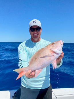 Mutton Snapper fishing in Islamorada, Florida