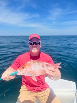 Black Drum fishing in Mount Pleasant, South Carolina