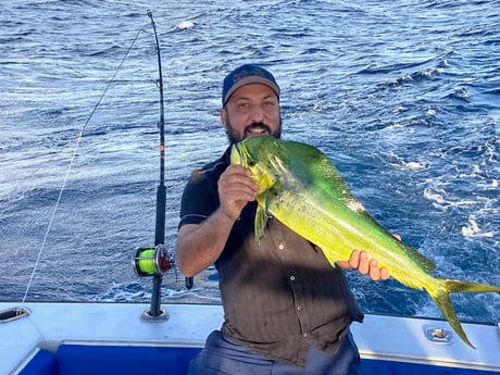 Mahi Mahi / Dorado fishing in West Palm Beach, Florida