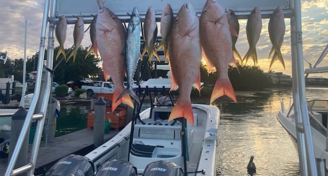 King Mackerel / Kingfish, Red Snapper, Yellowtail Snapper fishing in Marathon, Florida