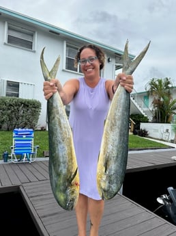 Mahi Mahi Fishing in Fort Lauderdale, Florida