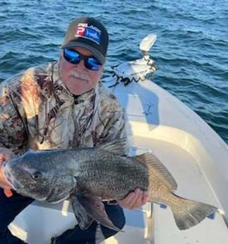 Black Drum fishing in Port Orange, Florida