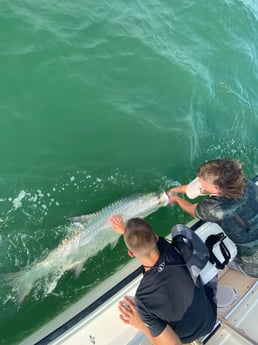 Tarpon fishing in Sarasota, Florida