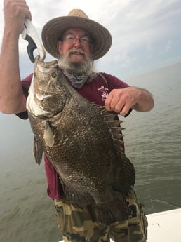 Tripletail fishing in Venice, Louisiana