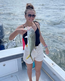 Snook fishing in Tampa, Florida