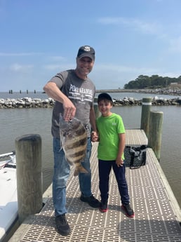 Sheepshead Fishing in Gulf Shores, Alabama