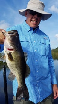 Largemouth Bass fishing in Fort Lauderdale, Florida