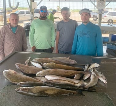 Redfish, Speckled Trout / Spotted Seatrout fishing in Matagorda, Texas