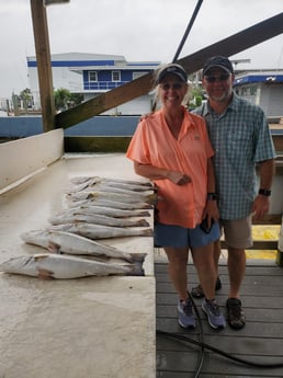 Speckled Trout / Spotted Seatrout Fishing in Galveston, Texas