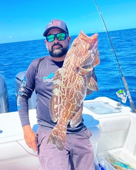 Mutton Snapper fishing in Tavernier, Florida