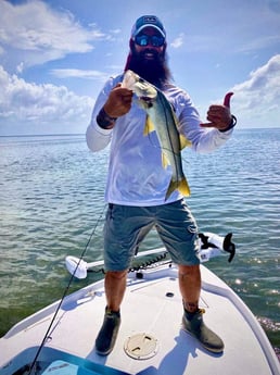 Snook Fishing in Islamorada, Florida