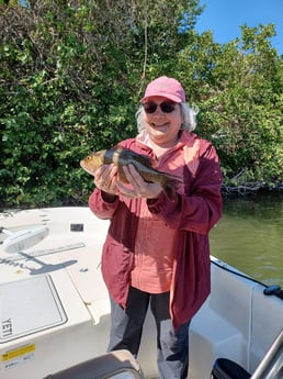 Florida Pompano fishing in St. Petersburg, Florida