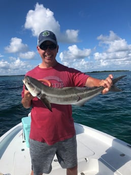 Snook fishing in Key West, Florida