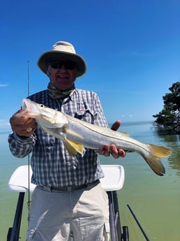 Snook fishing in Tavernier, Florida