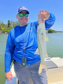 Snook fishing in Fort Myers, Florida