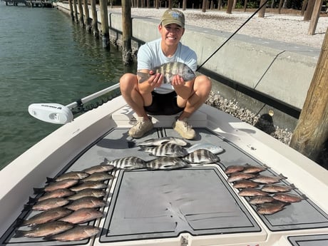 Fishing in Sarasota, Florida