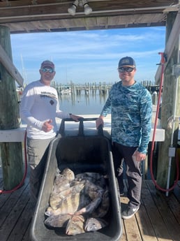 Sheepshead fishing in Gulf Shores, Alabama