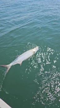 Fishing in Port O&#039;Connor, Texas