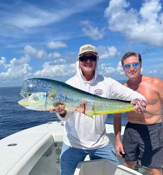 Mahi Mahi / Dorado fishing in Jupiter, Florida