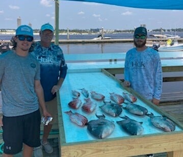 Red Snapper, Triggerfish fishing in Orange Beach, Alabama