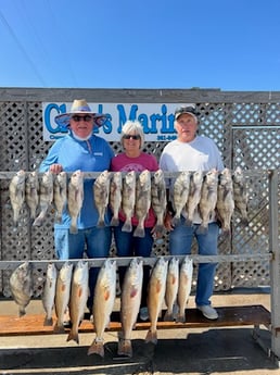 Black Drum, Redfish, Sheepshead Fishing in Corpus Christi, Texas